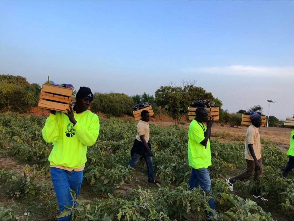 27581111 102478087240809 491479034736148480 n