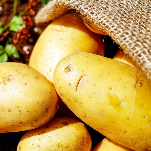 Pommes de terre