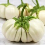 Aubergine blanche 2 kg