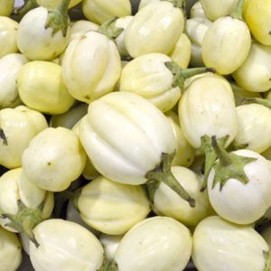Aubergine blanche kg