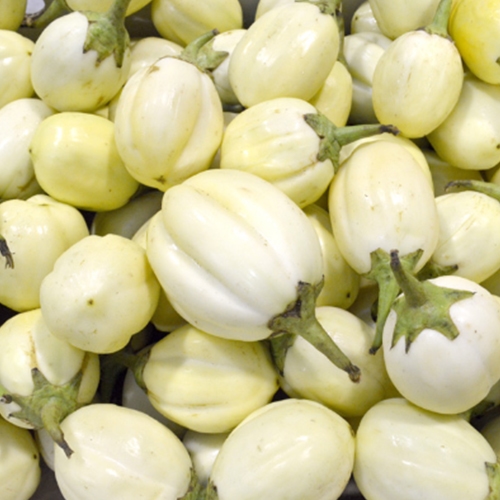 Aubergine blanche kg
