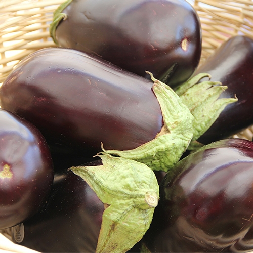 Aubergine noir