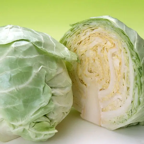 Cabbage - 1 Kg