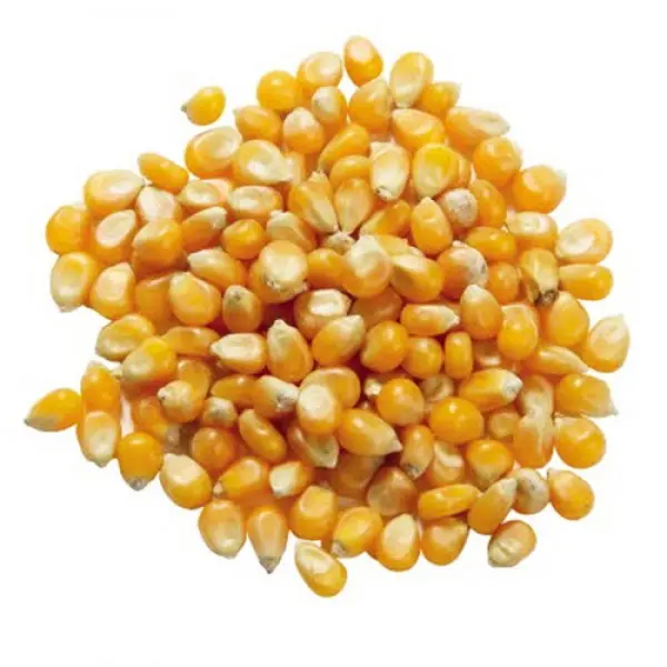 Local Corn in Bulk - 1 Kg