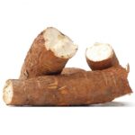 Manioc