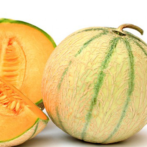 Melon