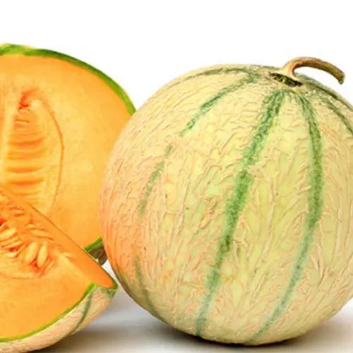 Melon - 1 Unit