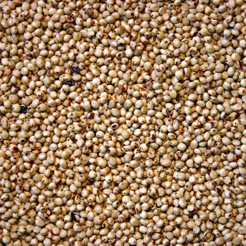 Local sorghum - 1 Kg